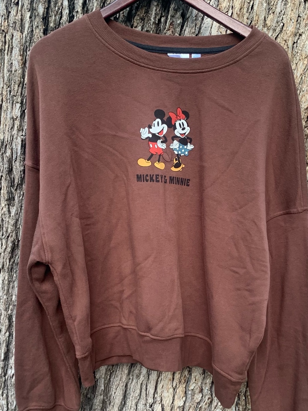 Disney Brown Kids Sweatshirt with Mickey & Minnie Graphic